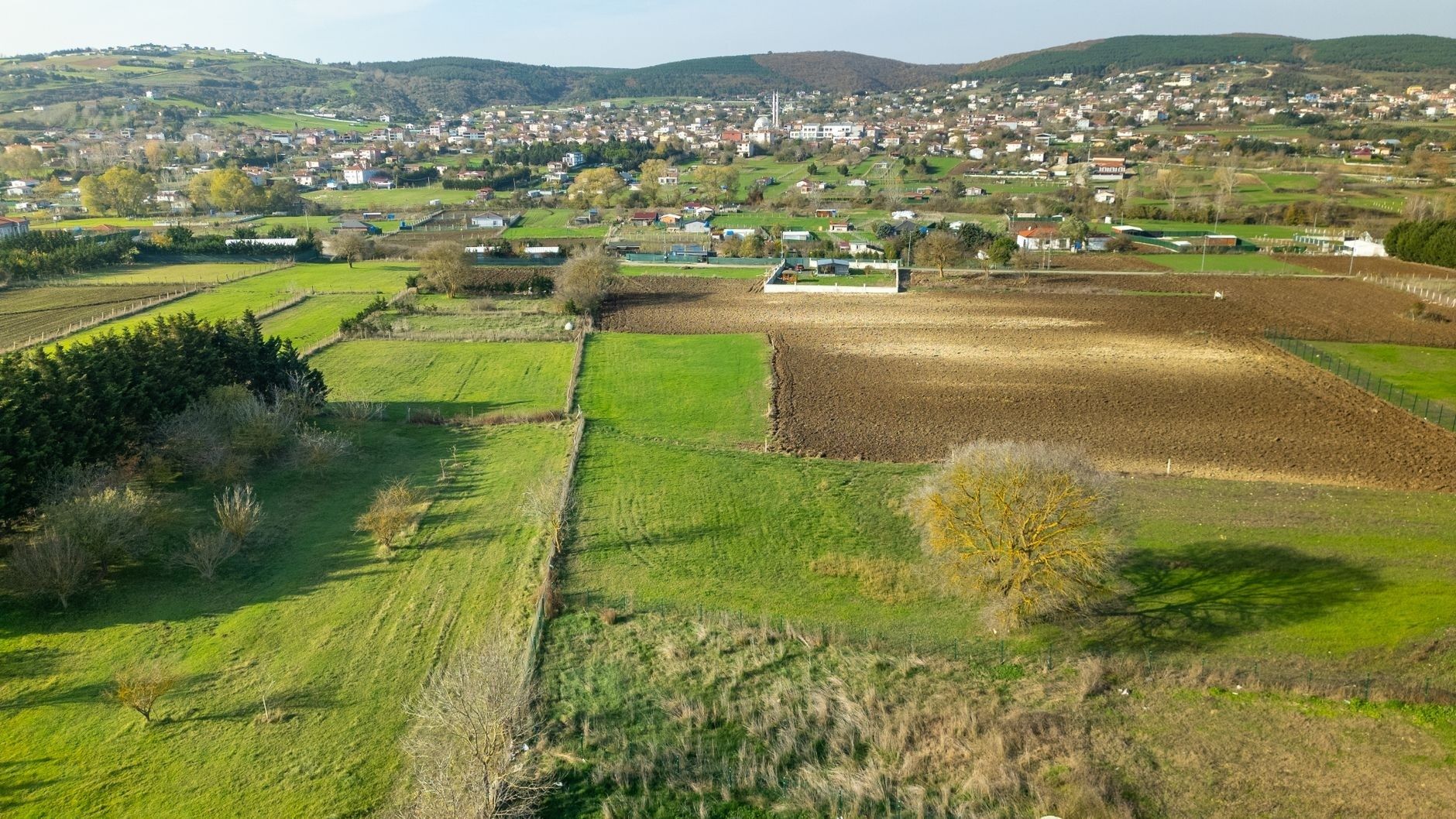 Paysage rural vallonné avec champs cultivés et village dispersé